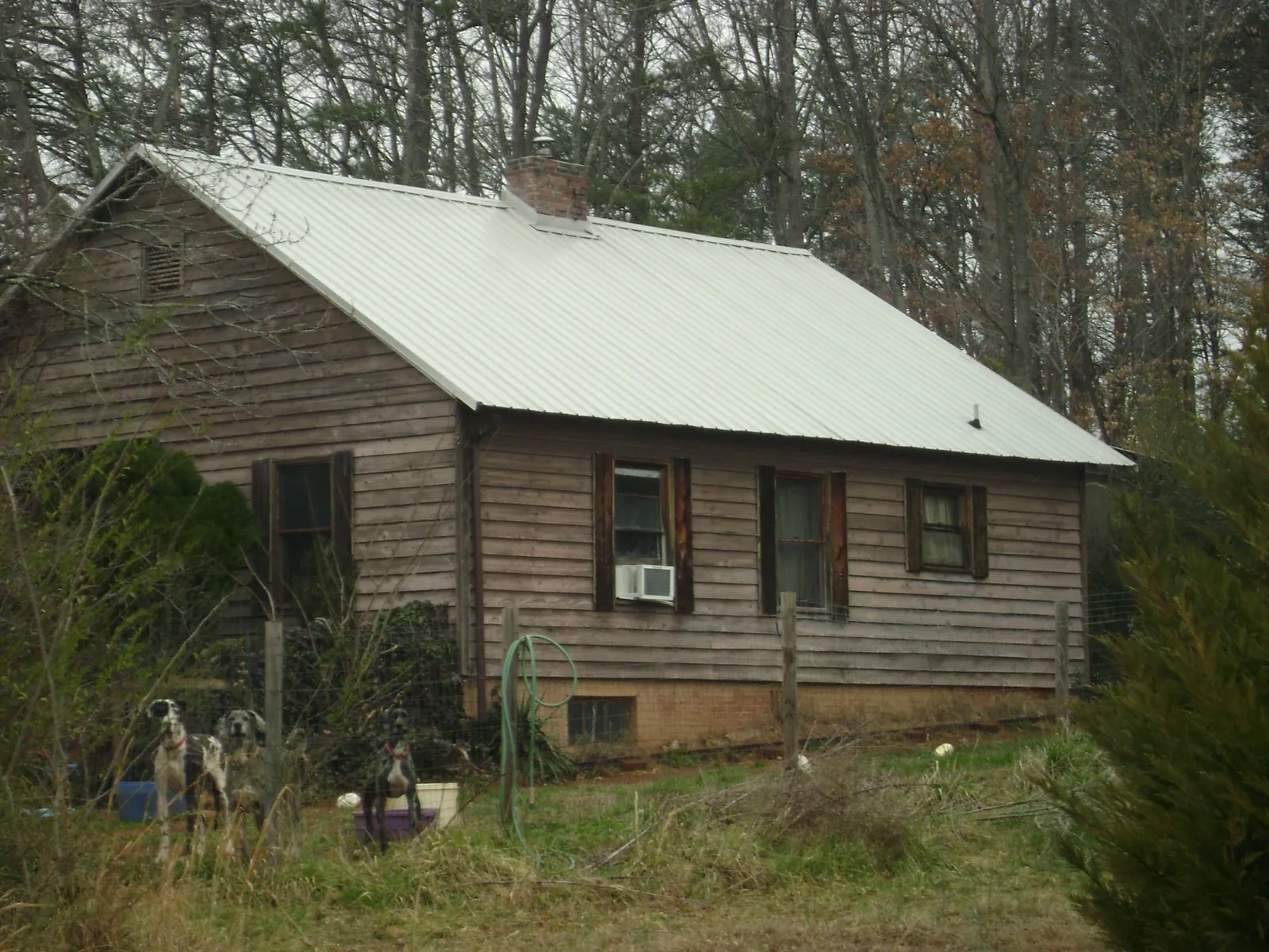 White metal roof on an old wood sided farmhouse, from a Asphalt Shingle Roof Repair job in Jamestown